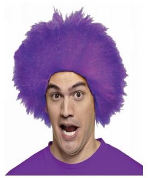 Fun Purple Wig Adult