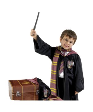 Harry Potter Dress Up Boys Trunk