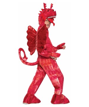 Boys Red Dragon Costume