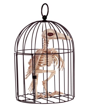 Skeleton Crow