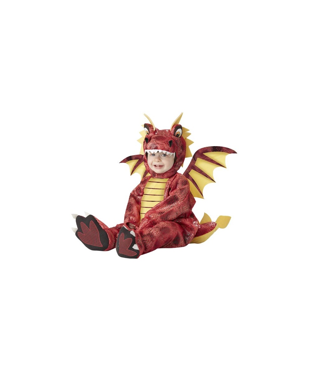 Adorable Dragon Baby Costume