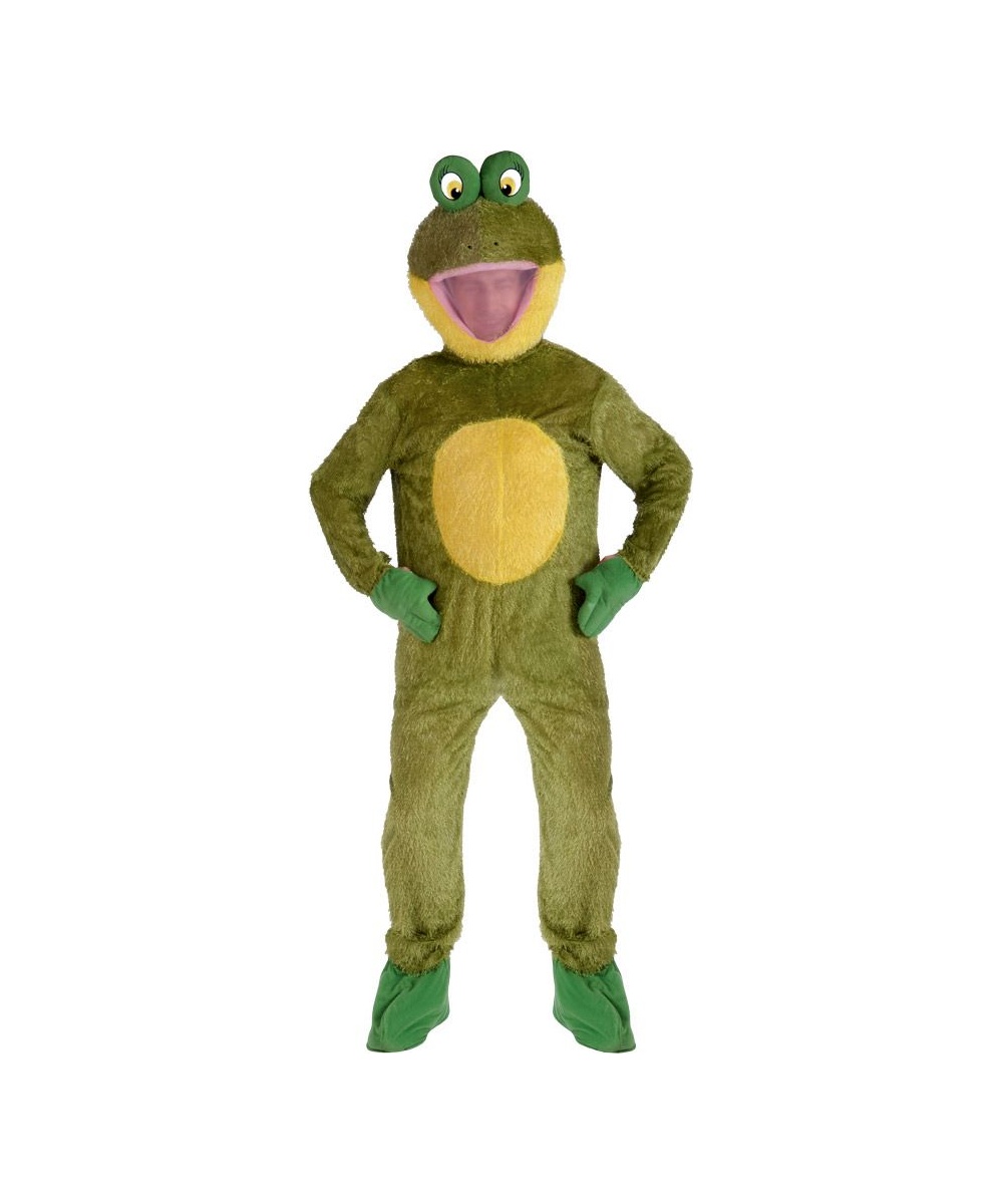 Frog Mascot  Costume