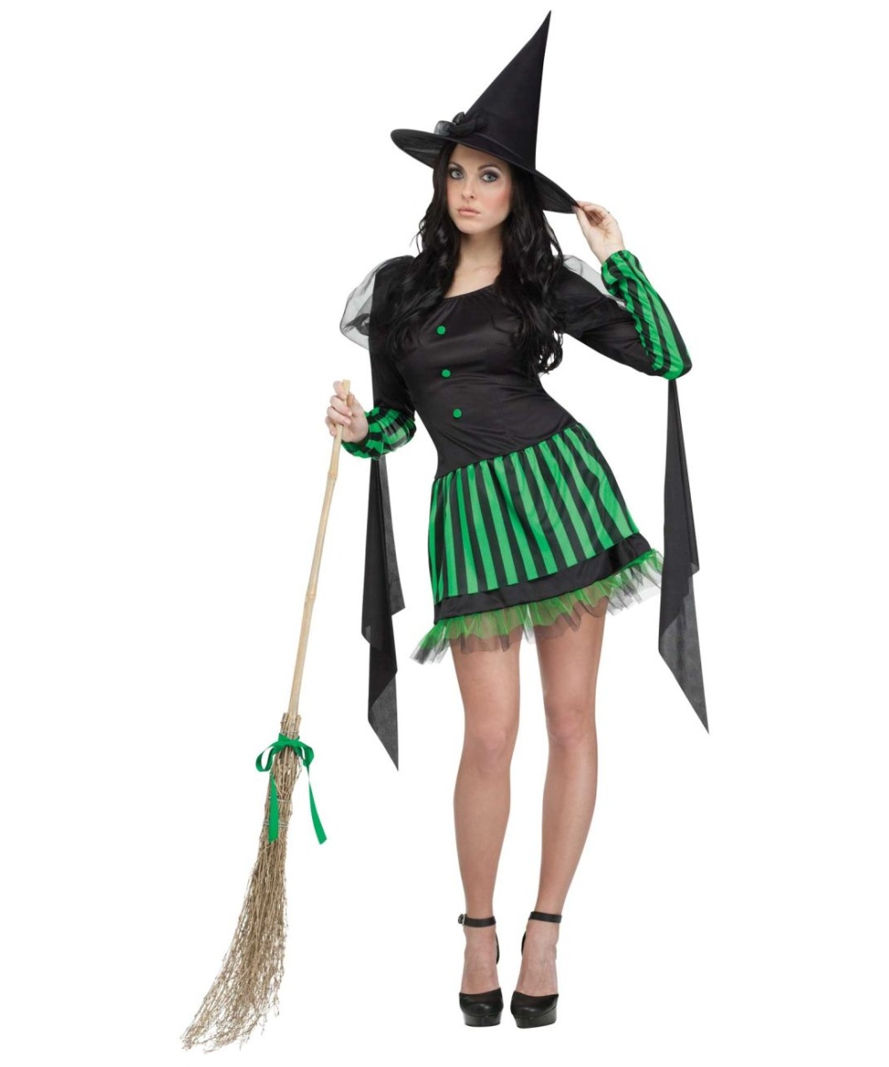 Wicked Witch  Costume
