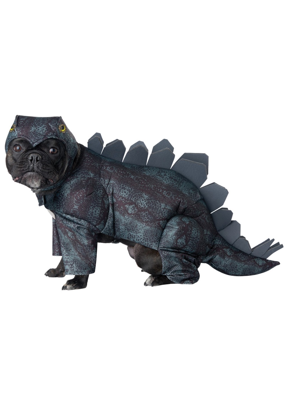Dog Stegosaurus Costume