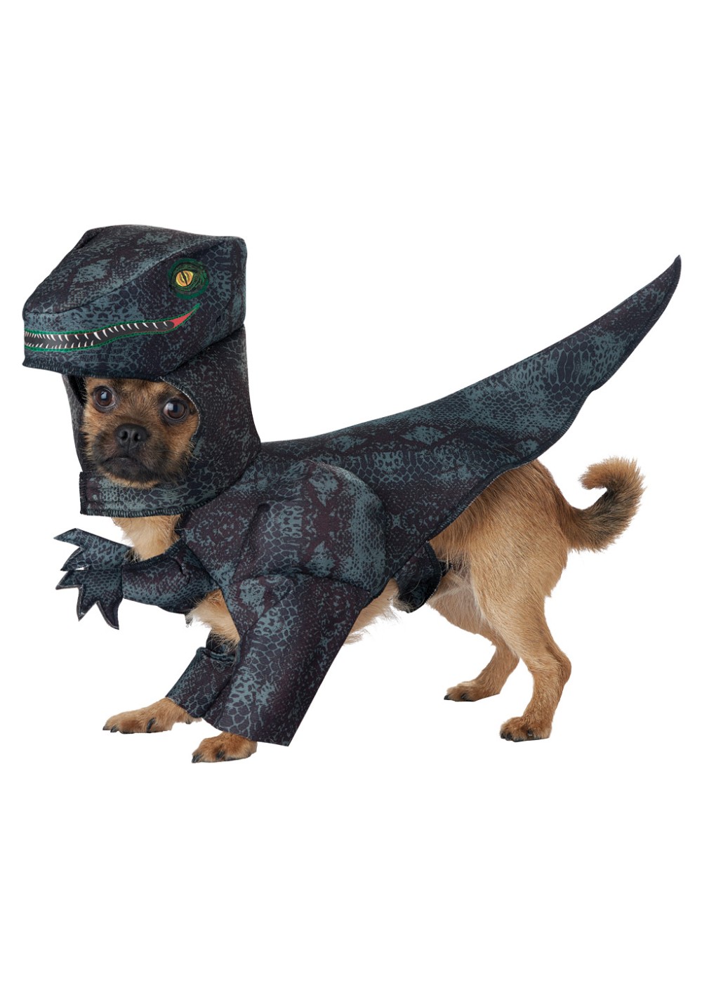 Doggy Dinosaur Costume