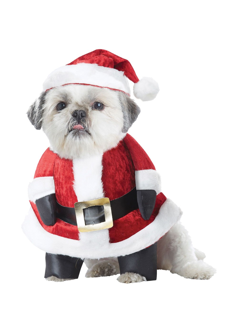 Dogs Santa Paws Costume