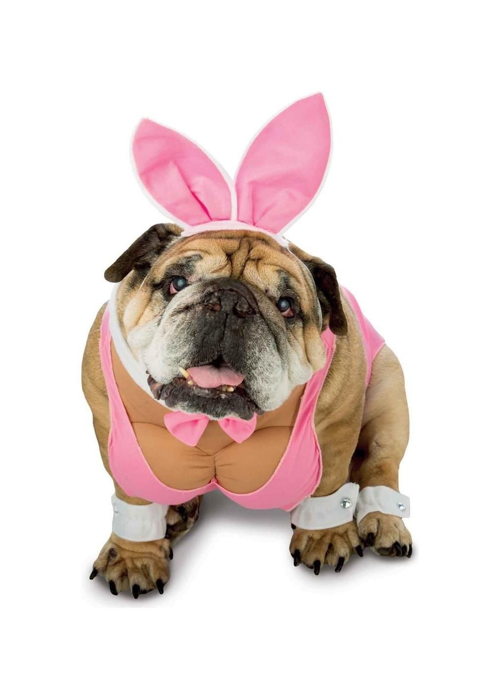 Funny Hunny Bunny Dog Costume