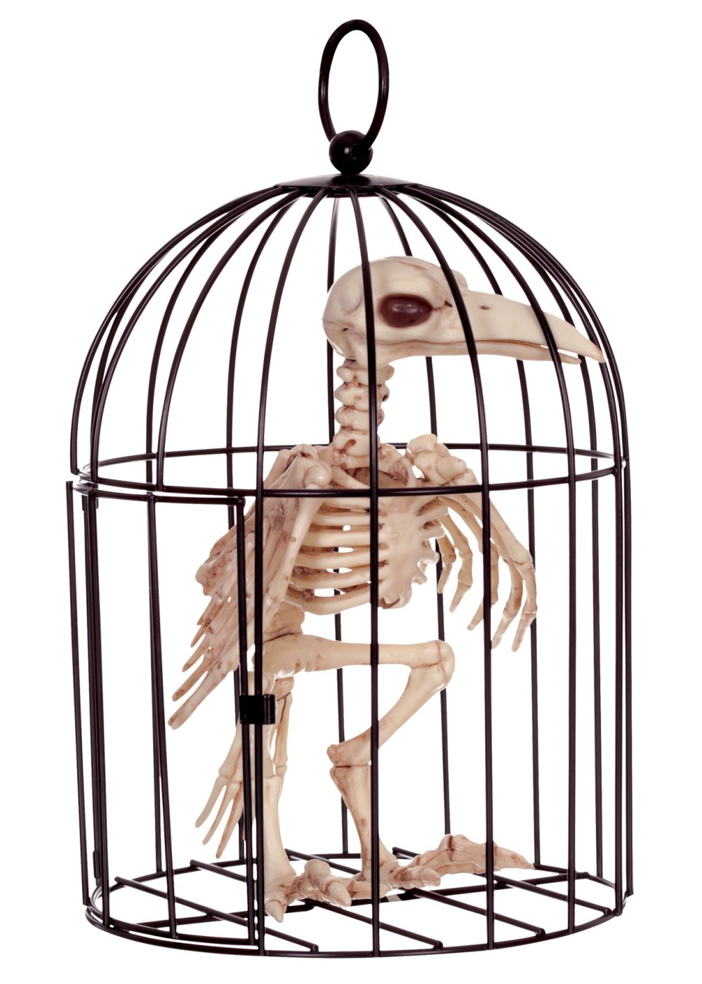 Skeleton Crow