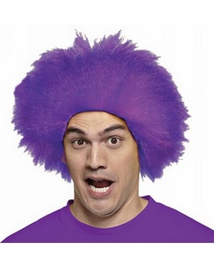 Fun Purple Wig