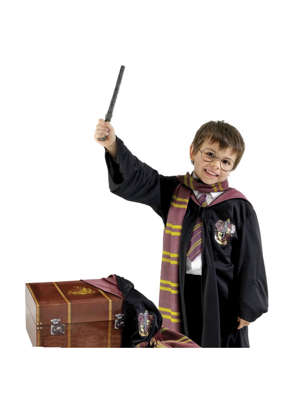 Harry Potter Dress Up Boys Trunk