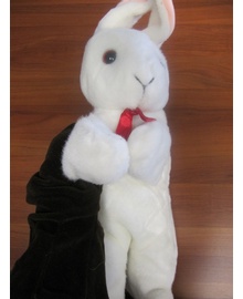 Magic Two Handed Bunny Puppet
