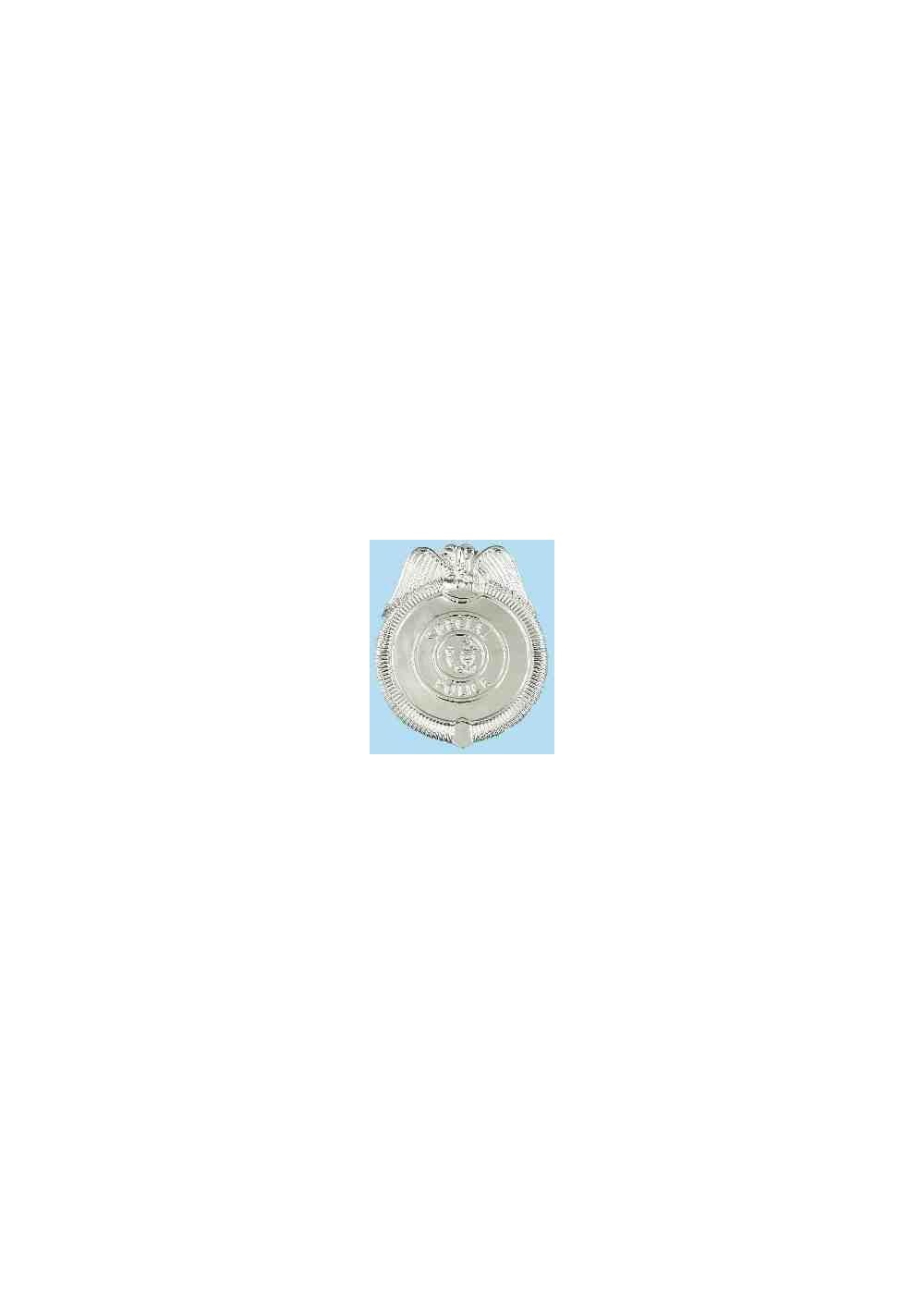 Police Boys Badge Costume Accessory