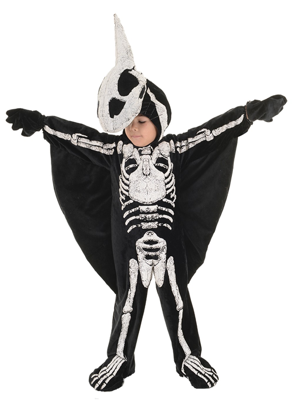 Pterodactyl Dinosaur Little Boys Costume