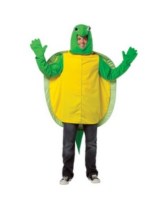 Turtle  Costume