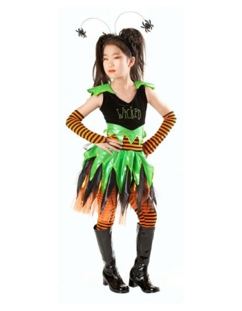 Wicked Witch Costume